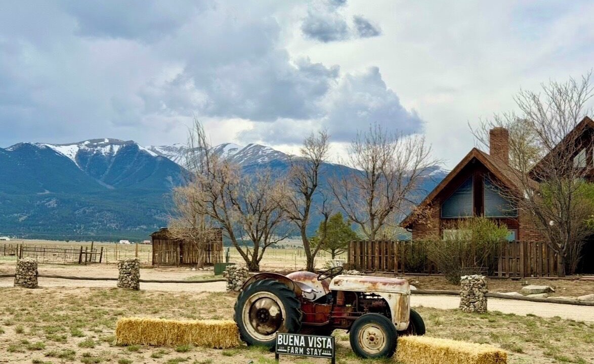 Photo of Others in Buena Vista