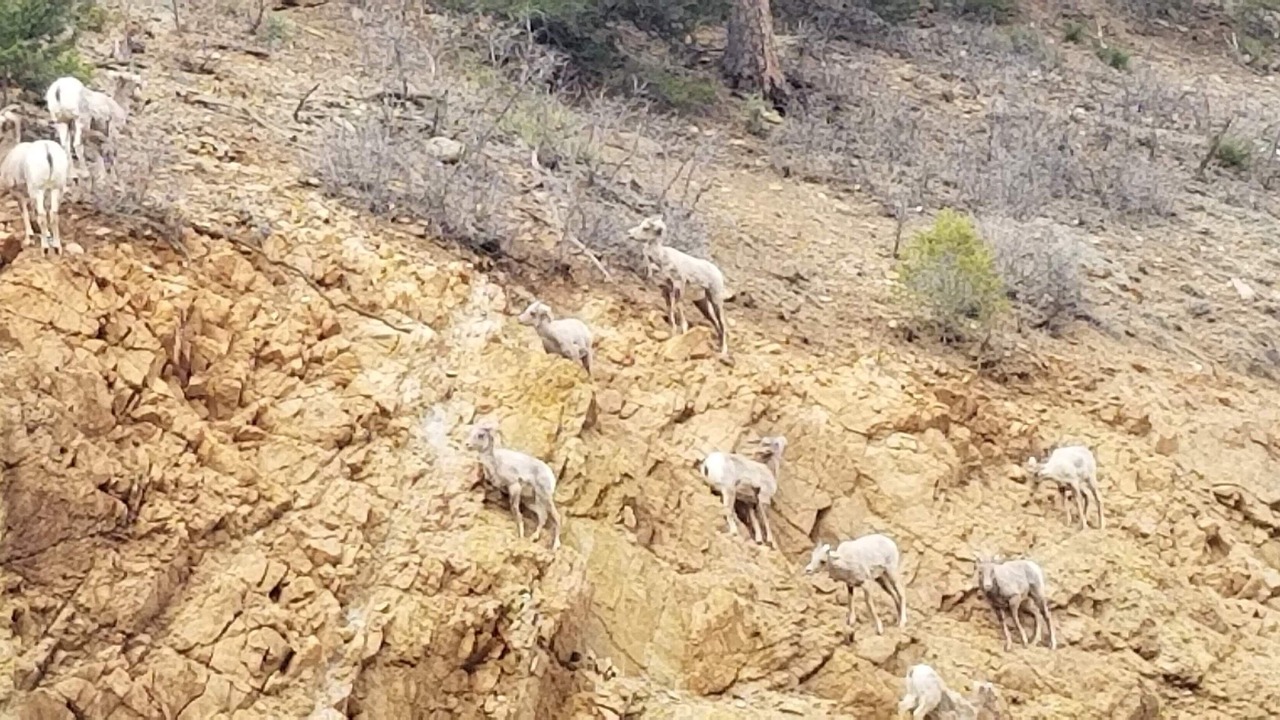 Photo of Others in Eagle Nest