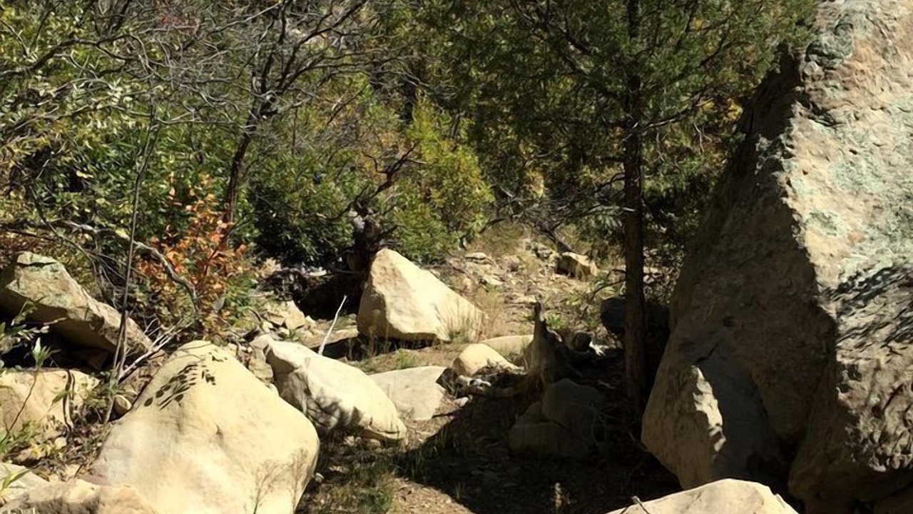 Photo of Others in Raton