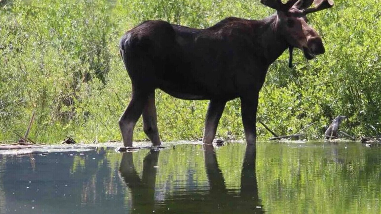 Photo of Others in Twin Lakes