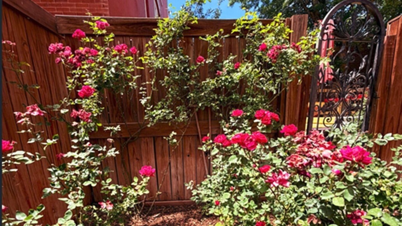 Photo of Outdoor in Highland