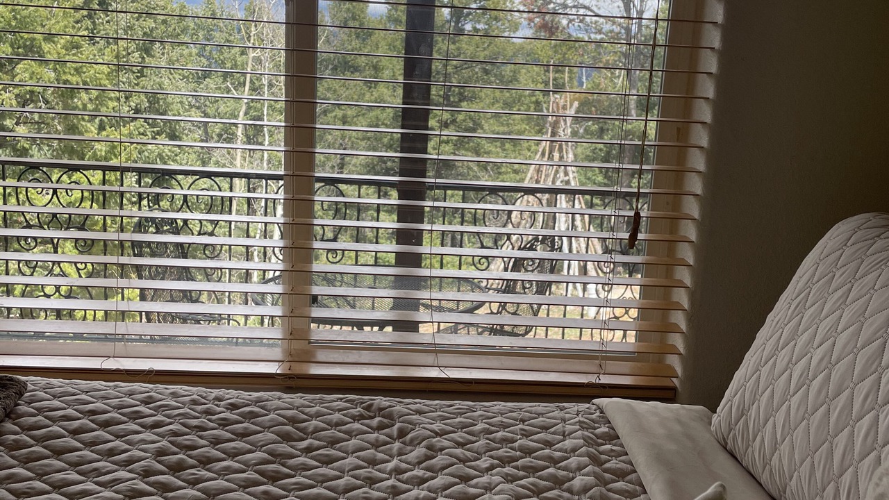 Photo of Bedroom in Woodland Park