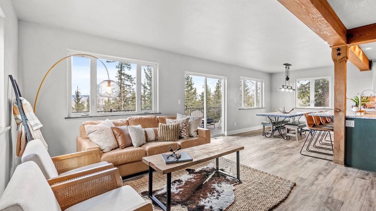 Photo of Livingroom in Indian Mountain