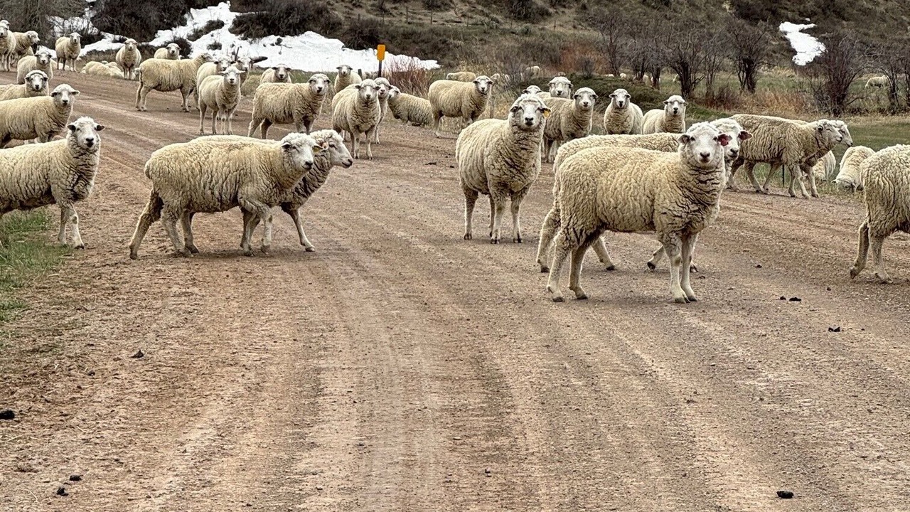 Photo of Others in Buford