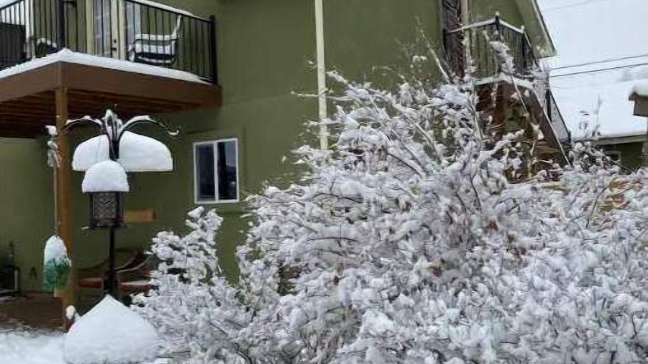 Photo of Outdoor in Colorado Springs