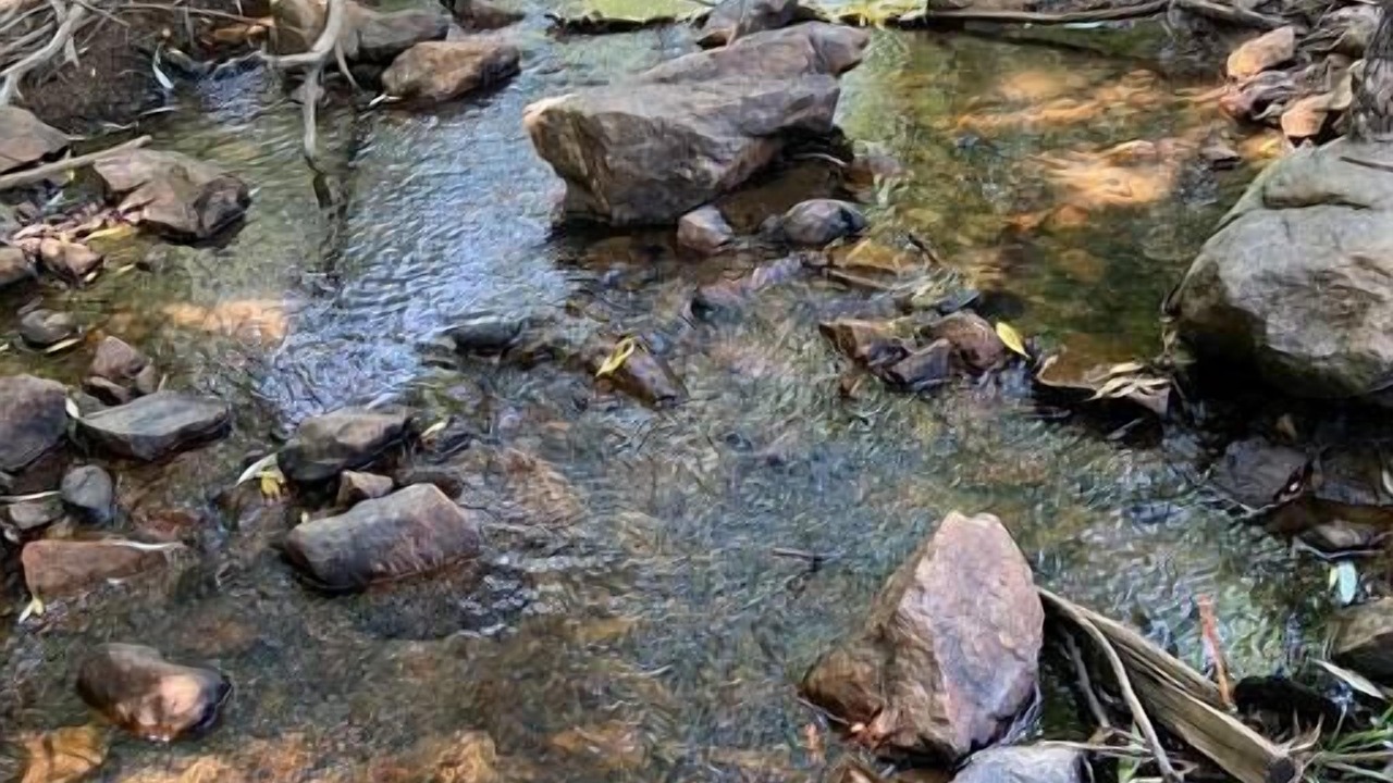 Photo of Outdoor in Coal Creek Canyon