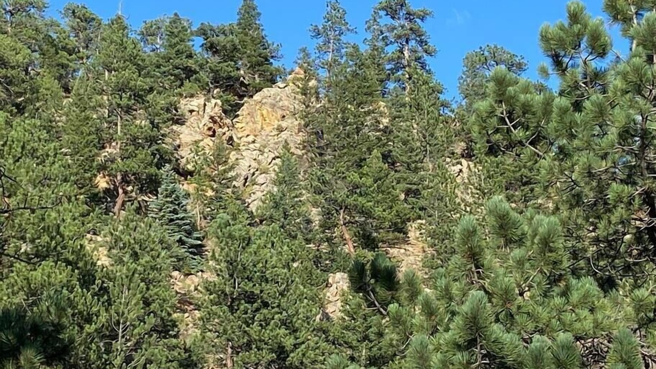Photo of Outdoor in Coal Creek Canyon