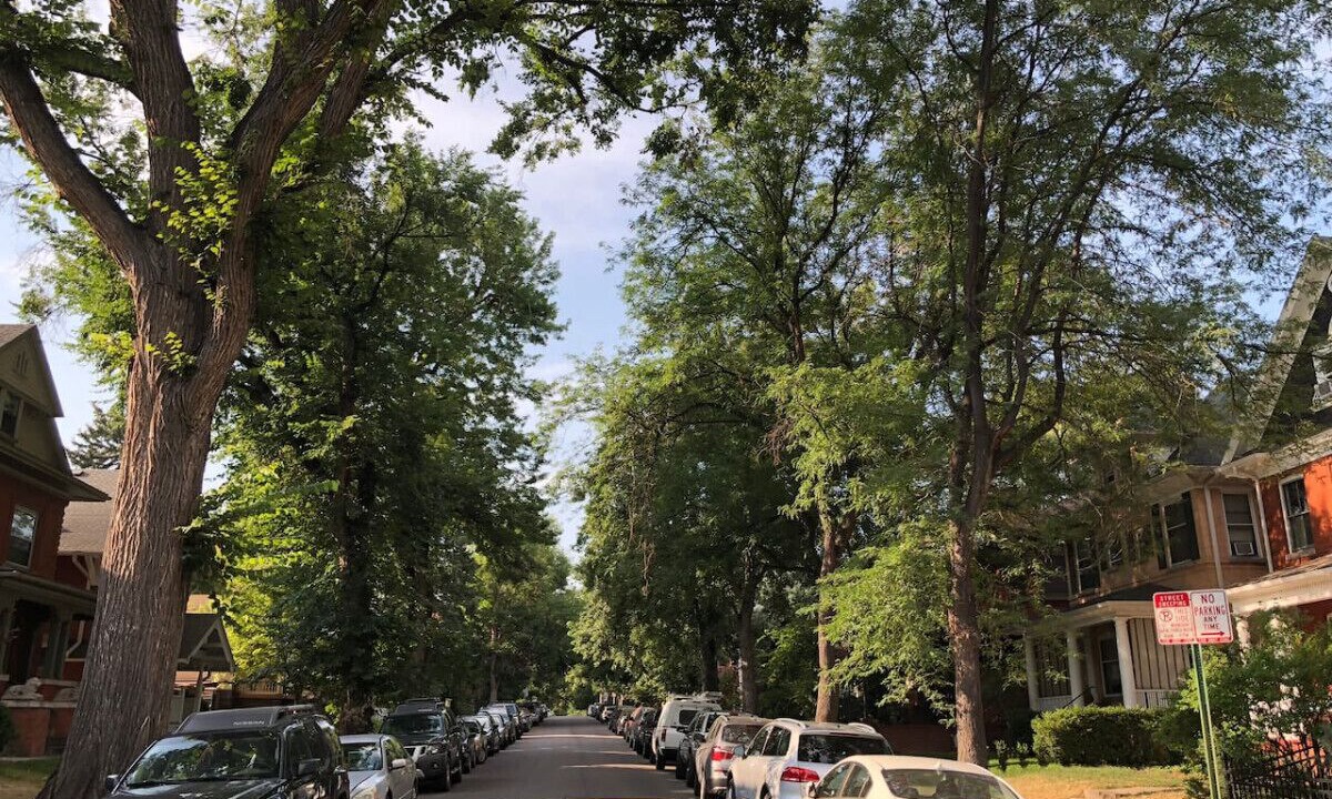 Photo of Others in Cheesman Park