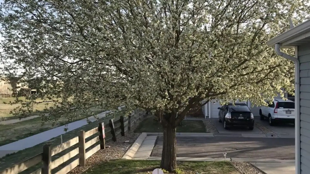 Photo of Outdoor in Centennial