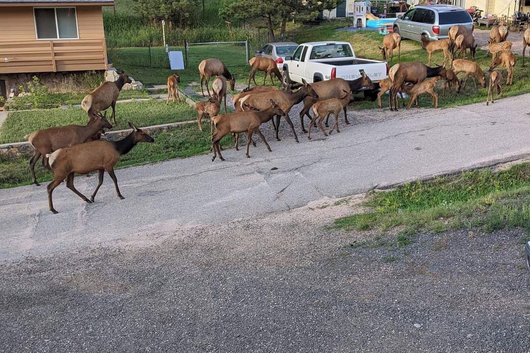 Photo of Others in Kittredge