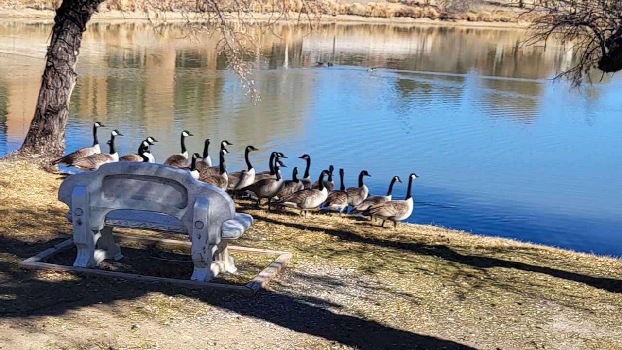 Photo of Outdoor in Grand Junction