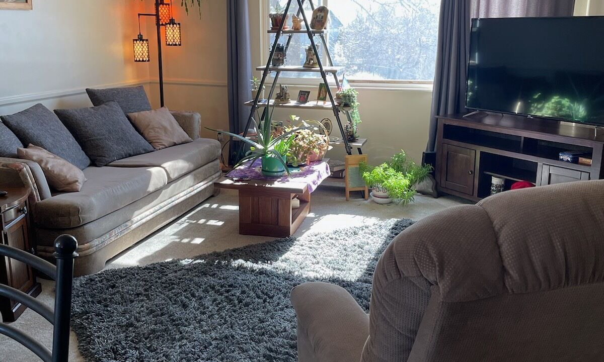 Photo of Livingroom in West Colorado Springs