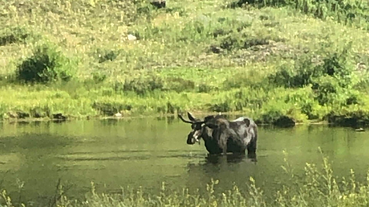 Photo of Others in Silverton