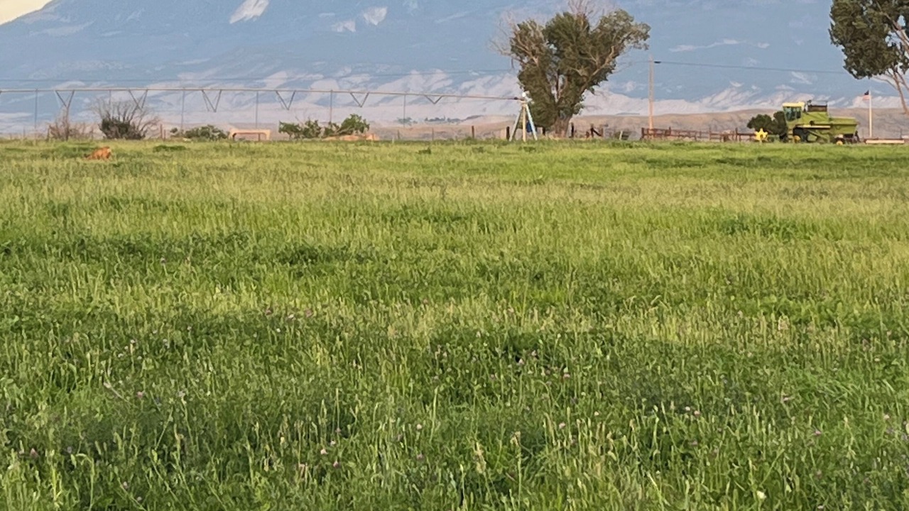 Photo of Others in Lazear