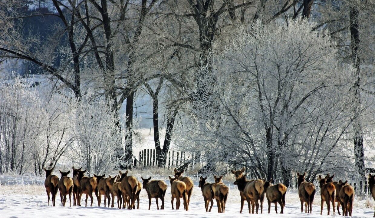 Photo of Others in South Fork