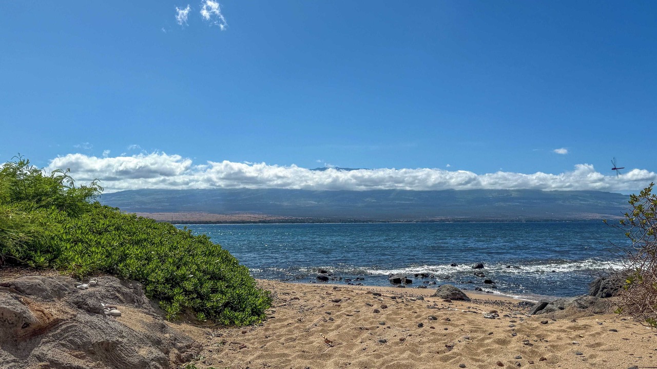 Photo of Others in Maalaea