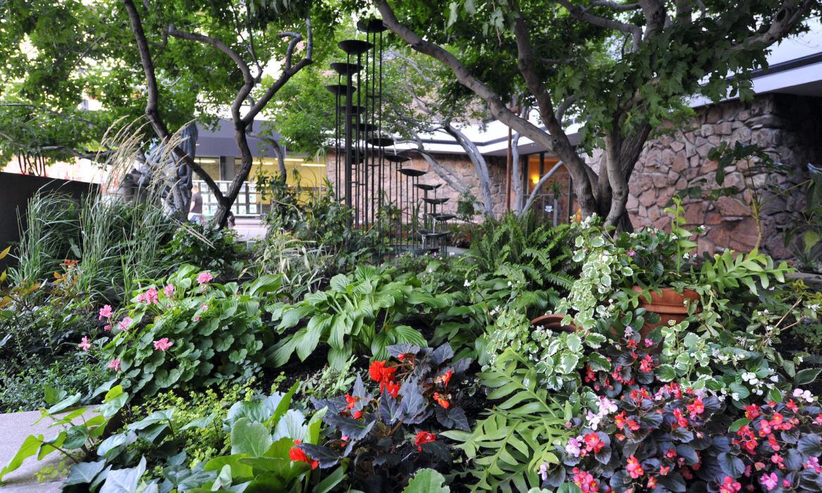 Photo of Outdoor in Downtown Denver