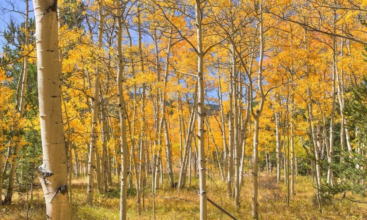 Photo of Others in Warm Springs