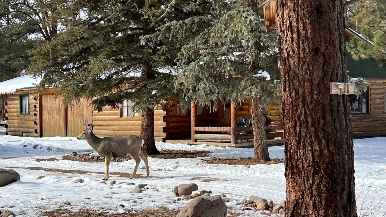 Photo of Others in South Fork