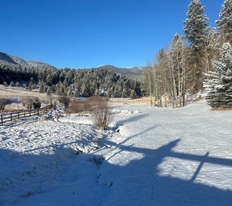 Photo of Others in Evergreen