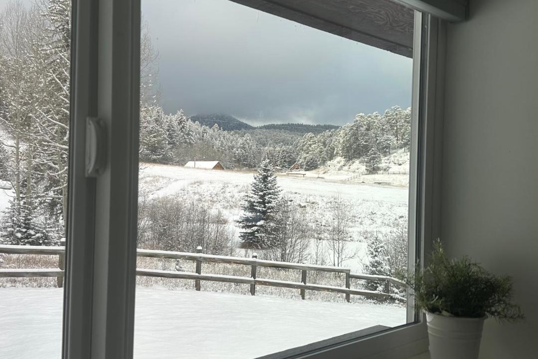 Photo of Others in Evergreen