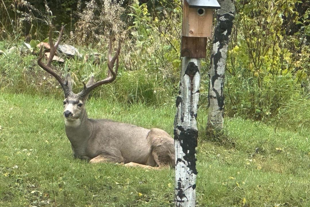 Photo of Others in Evergreen
