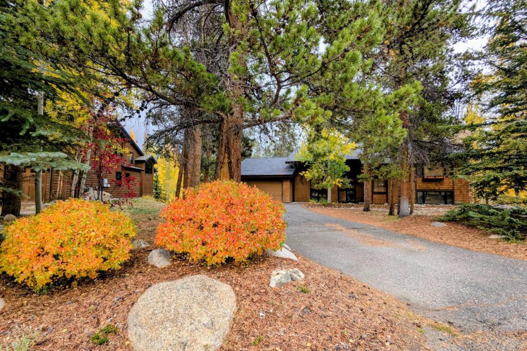 Photo of Others in Mountain House