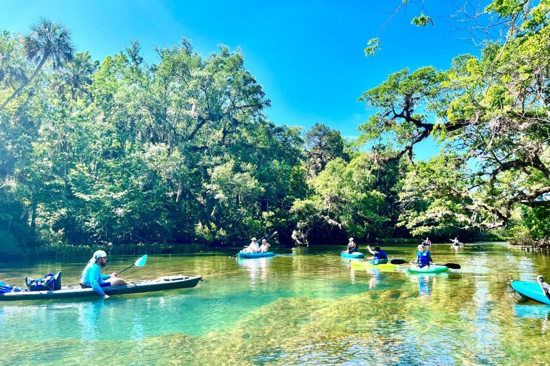 Photo of Others in Homosassa