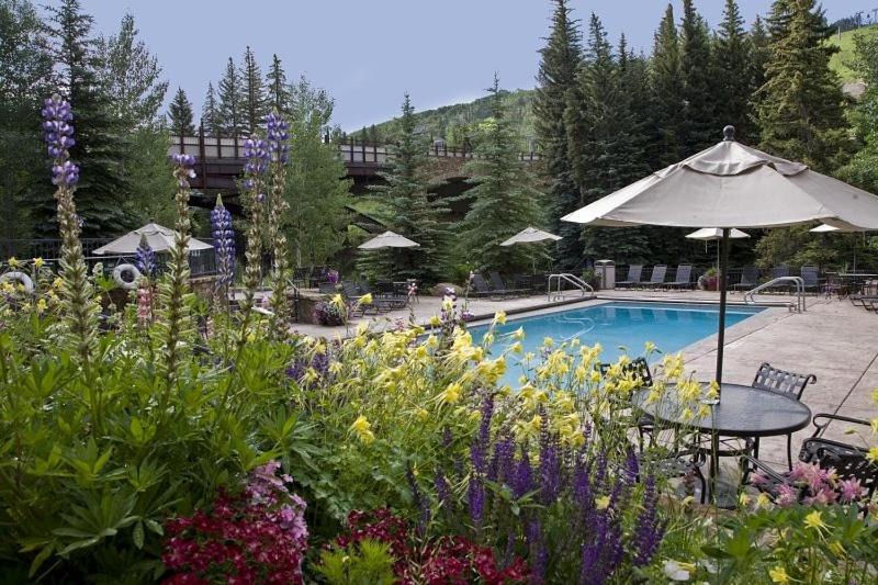 Photo of Others in Vail
