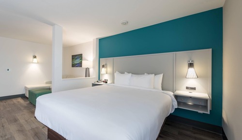 Suite, 1 King Bed, Non Smoking (Upgrade)