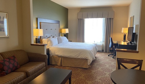 Suite, 1 King Bed with Sofa bed