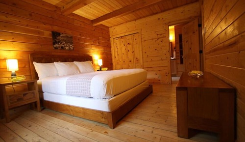 Cabin, Multiple Beds (Large, with 4 beds N/S)
