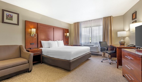 Standard Suite, 1 King Bed with Sofa bed, Non Smoking