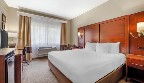 Room, 1 King Bed, Accessible, Non Smoking