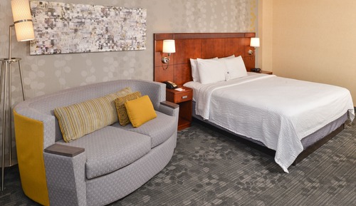 Room, 1 King Bed with Sofa bed (Mountain View)