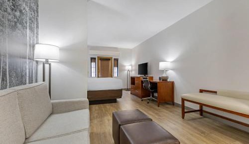 King Suite with Sofa Bed - Non-Smoking/Pet Friendly