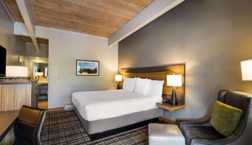 King Room with Roll-In Shower - Disability Access