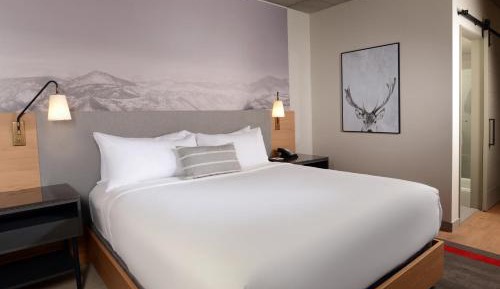 One King Standard Urban View Room