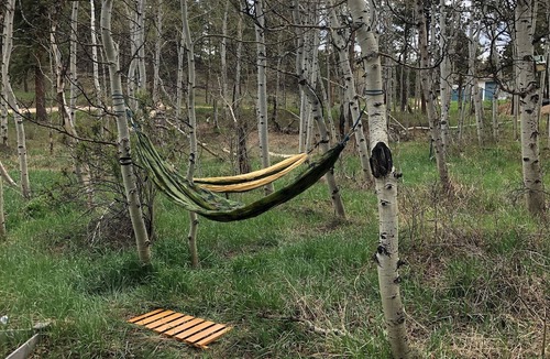 Red Feather Lakes Cabin | Wildlife and aspen trees surround the cabin cottage at Redfeather Lakes