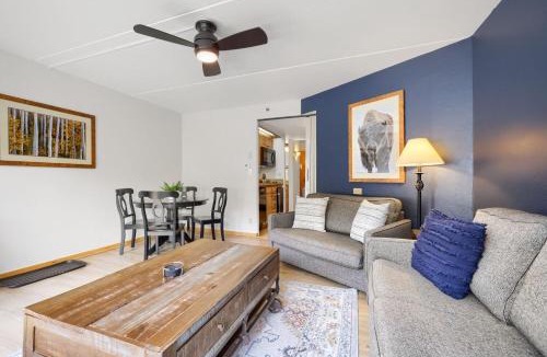 Peak 9 Hotel | Ski In Ski Out Dog Friendly Studio Building 4