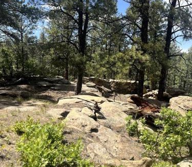 Boncarbo Other | Private Bell Tent with Amazing Stargazing in Colorado