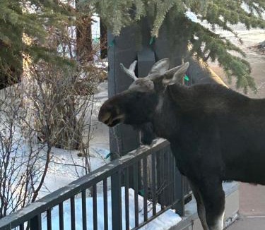 Lakeside Village House | Lakeside 1495 by SummitCove Lodging in Colorado