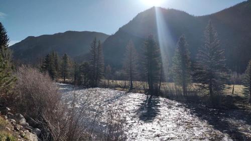Bellvue House | Remote and Cozy Mountain Cabin Nestled in the Poudre Canyon, Perfect for a Pet Friendly Glamping Retreat
