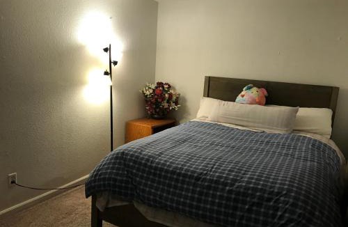 Aurora House | 4 Bedroom Vacation House With Pikes Peak view Pet-friendly