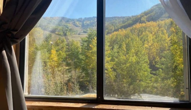 Mountain View Room #14