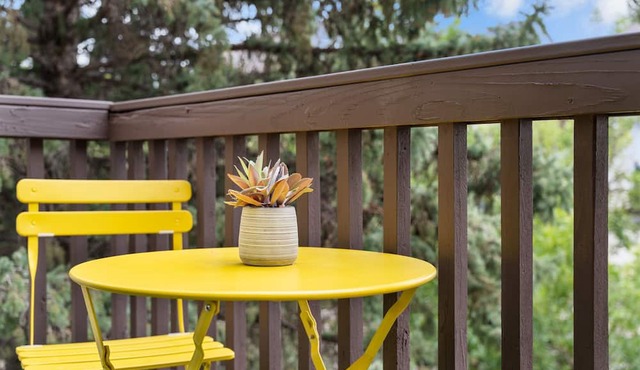 Modern Retreat | 2BR Retreat Near Denver | Gym